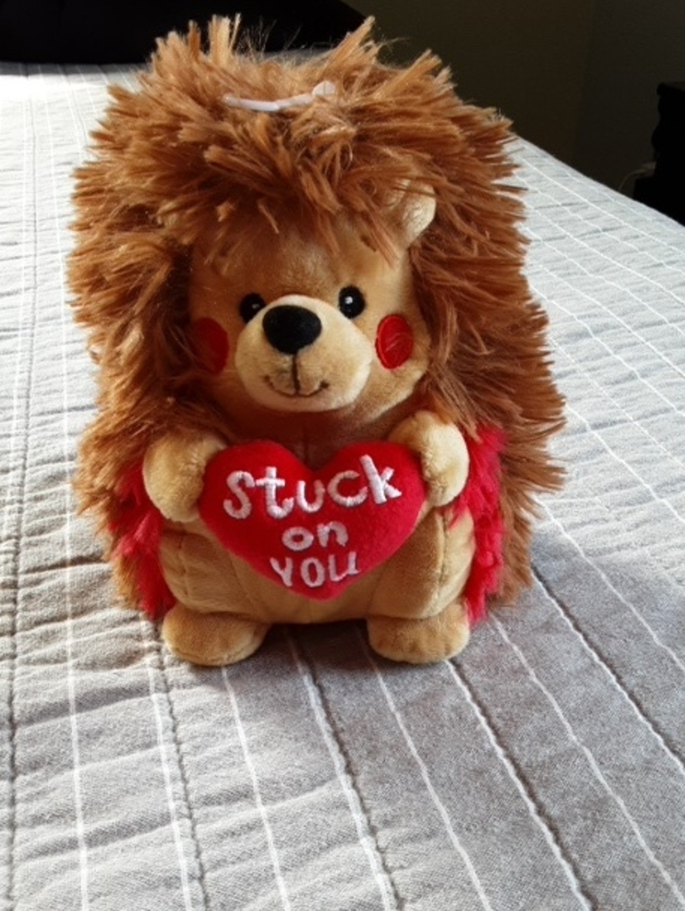 American Greetings Brown Plush Hedgehog with Red Heart